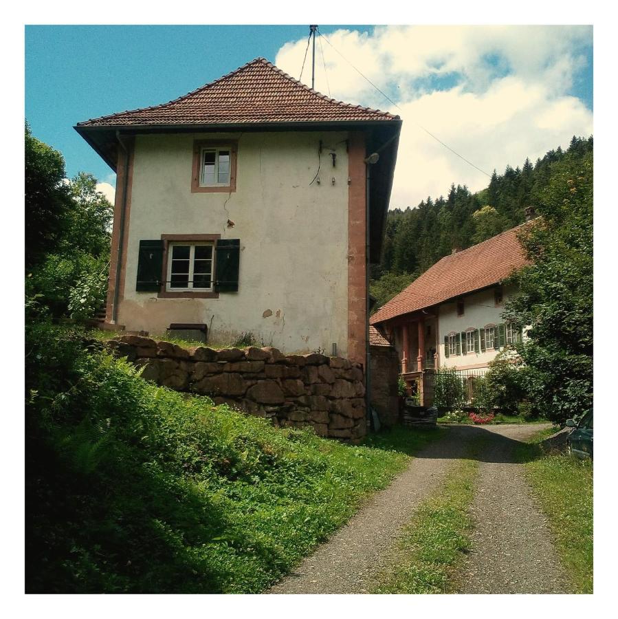 La Demeure Des Forges Apartment Grandfontaine  Екстериор снимка