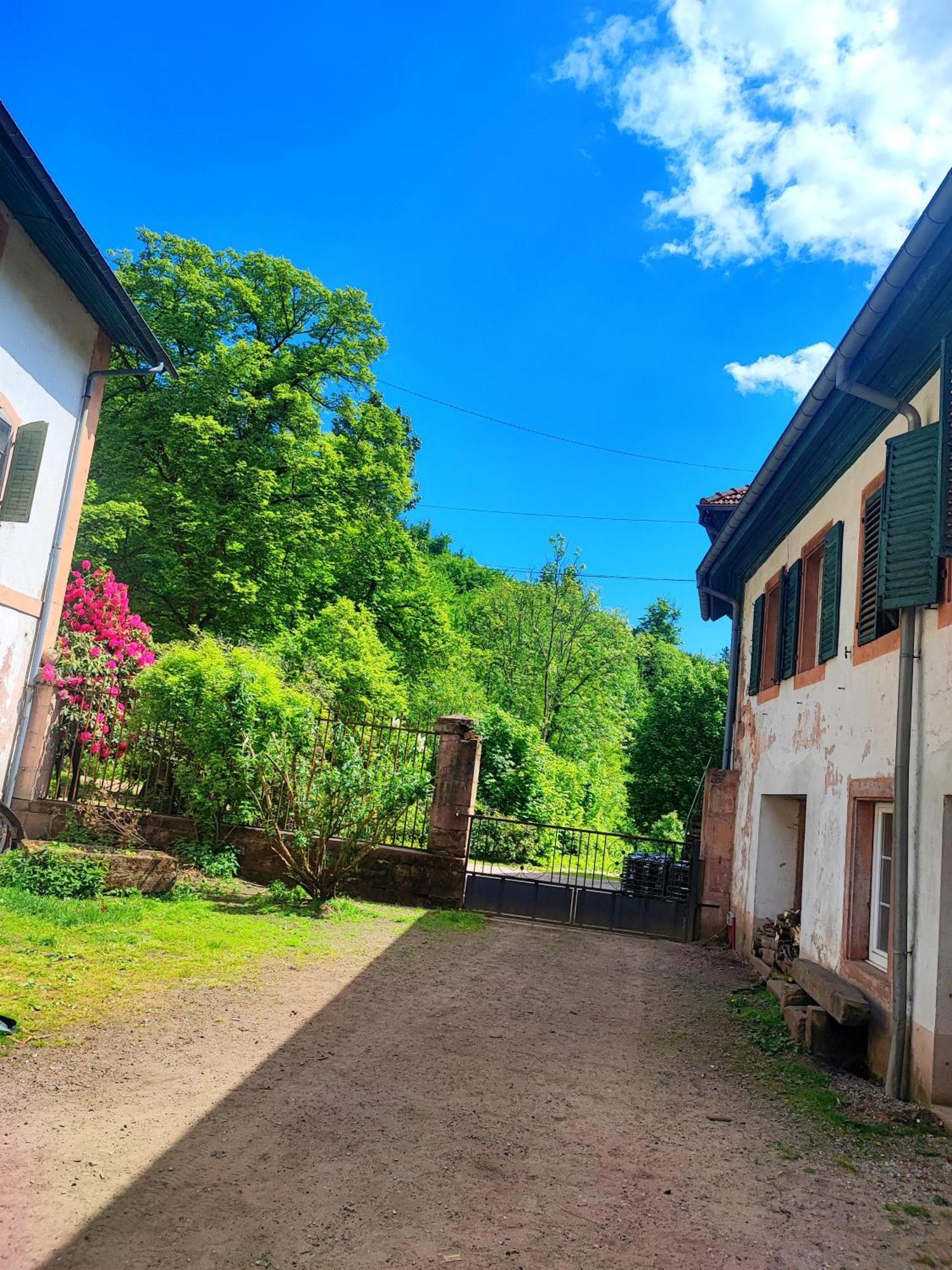 La Demeure Des Forges Apartment Grandfontaine  Екстериор снимка