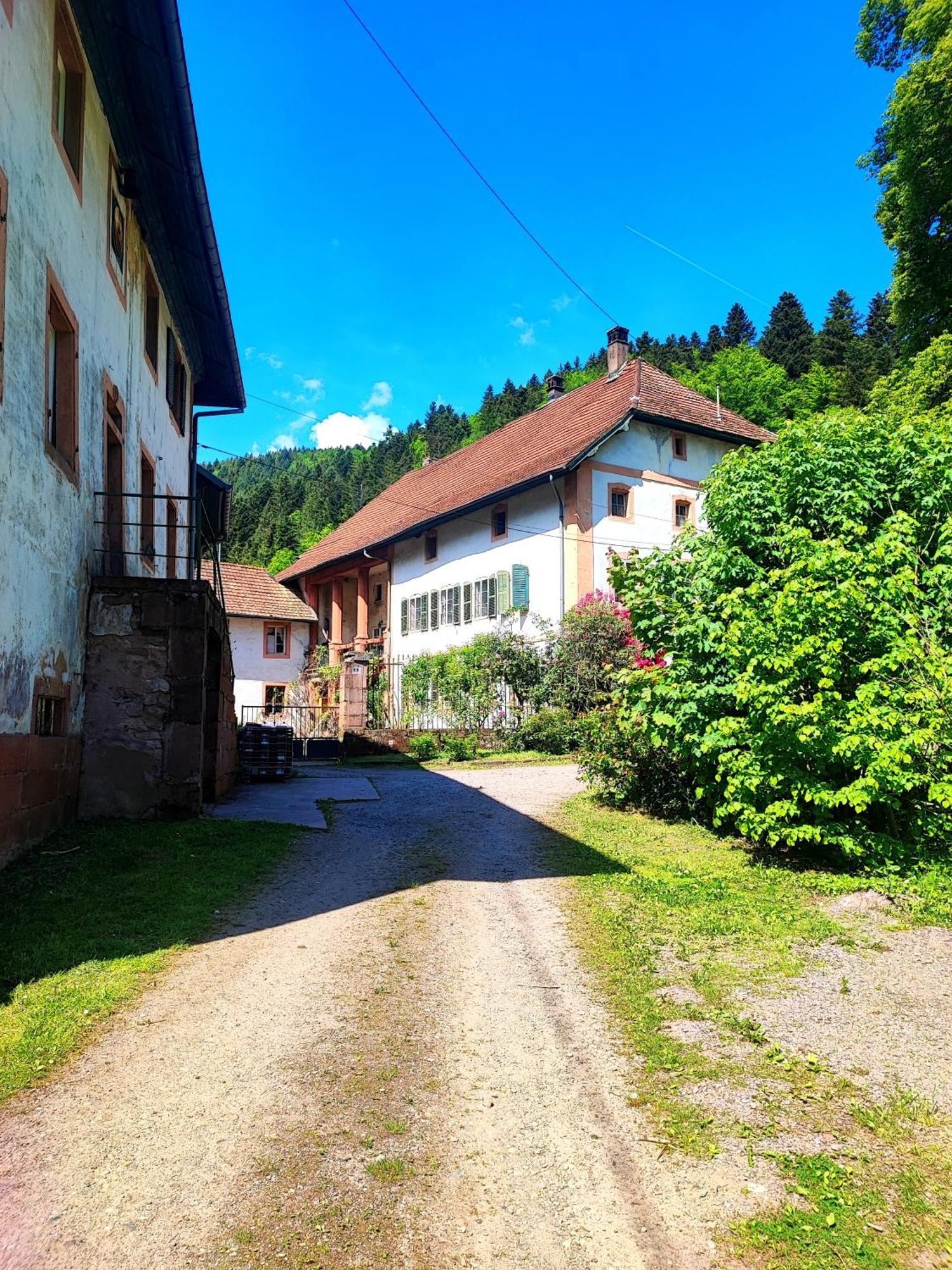 La Demeure Des Forges Apartment Grandfontaine  Екстериор снимка
